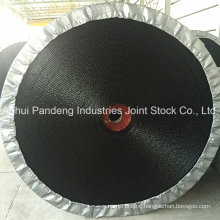 Conveyor System/Conveyor/Acid and Alkali Resistant Conveyor Belt